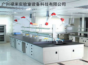 技术开发 创新时代的引擎与挑战