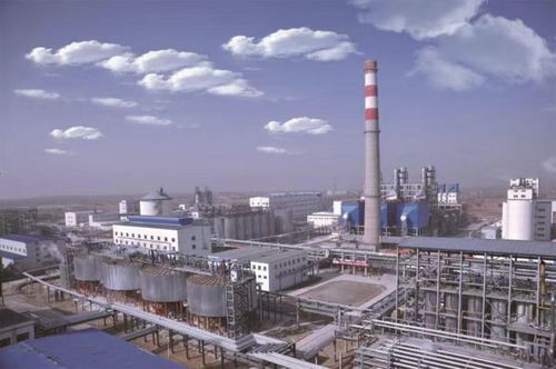 高铝粉煤灰提取氧化铝多联产技术 创新示范引领循环经济发展