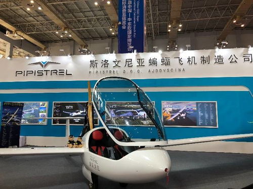 高技术与特色产品亮相中东欧博览会，推动国际技术开发合作